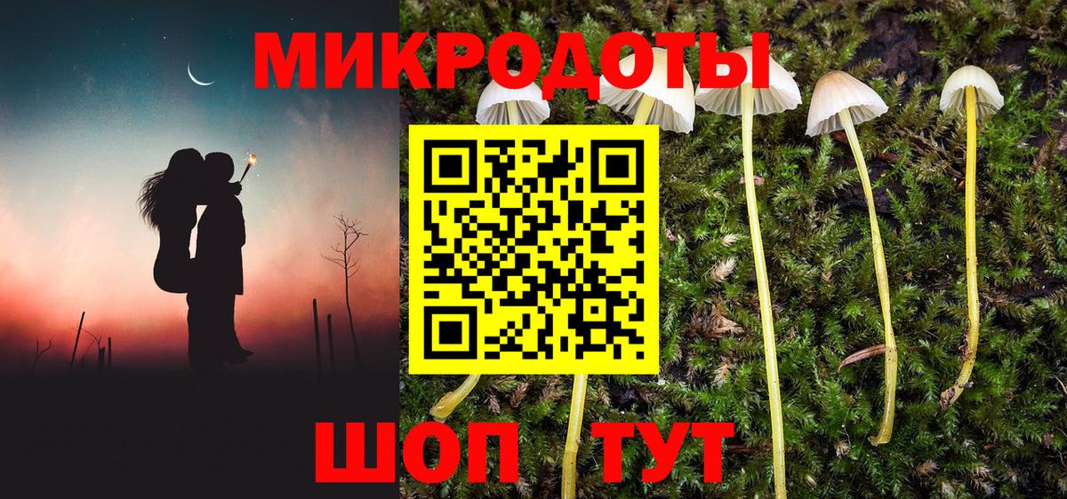 Кольчугино  Галлюциногенные грибы Cubensis  Вход с VPN 