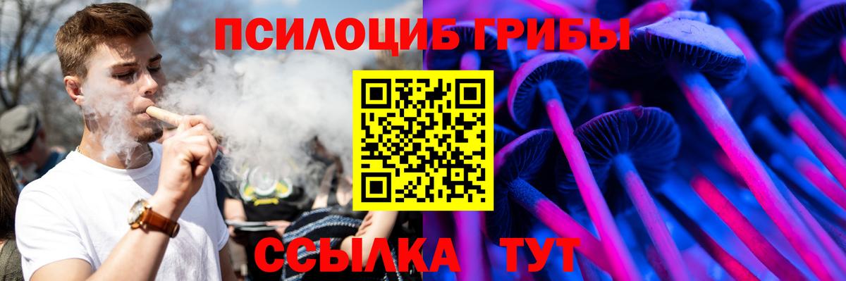 Галлюциногенные грибы ЛСД Кольчугино