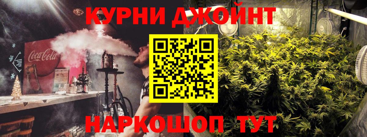 Конопля конопля  Бошки марихуана сатива  Канабис план  МАРИХУАНА план  Кольчугино  Вход с VPN 
